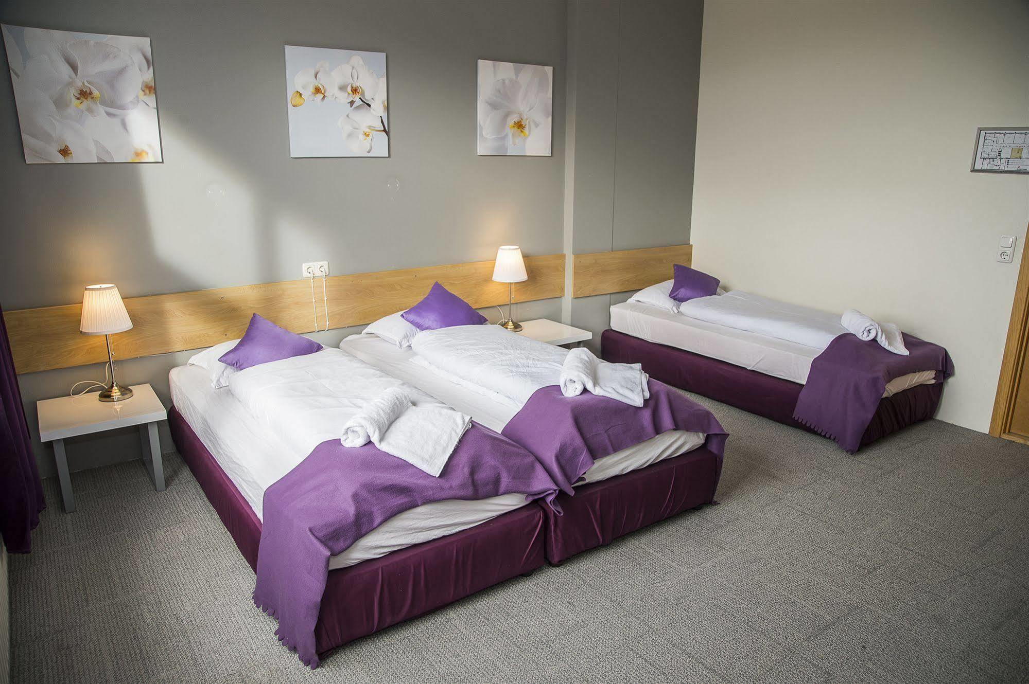Capital-inn Albergue *